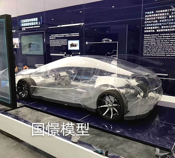 东山县透明车模型